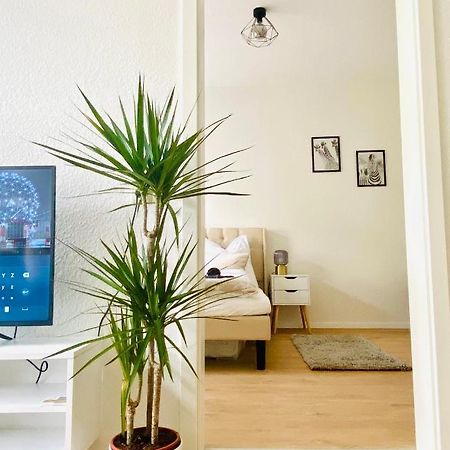 Stilvolles Apartment In Zentraler Lage - Smart-Tv, Queensize-Bett, Altbaustil, Kueche In City-Naehe Erfurt Eksteriør bilde